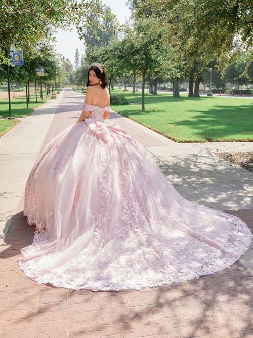 Blush Style 1458J back view