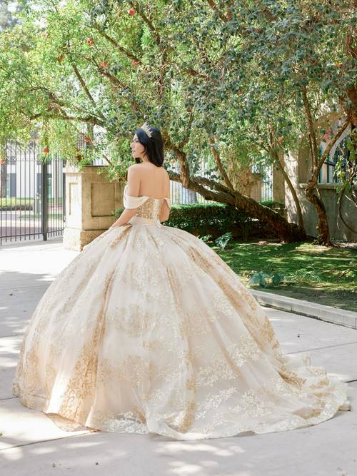 Gold Style 1488H back view