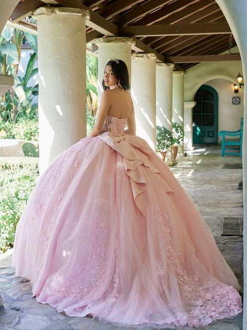 Blush Style 1497J back view