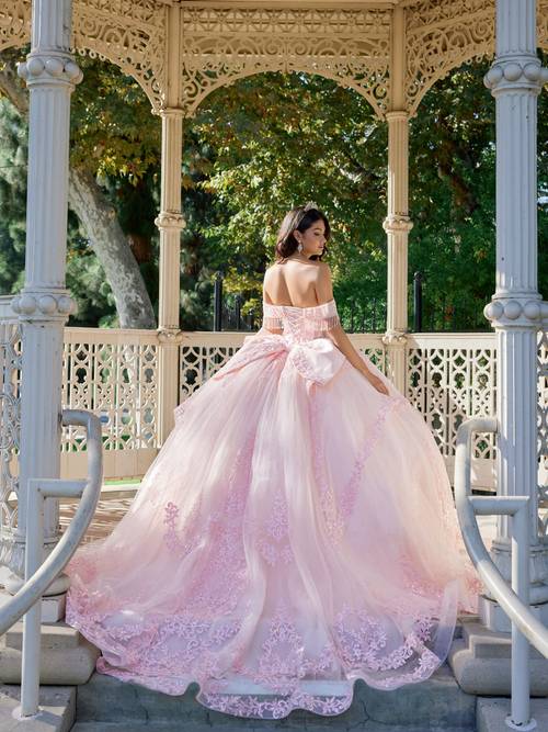 Blush Style 1503J back view