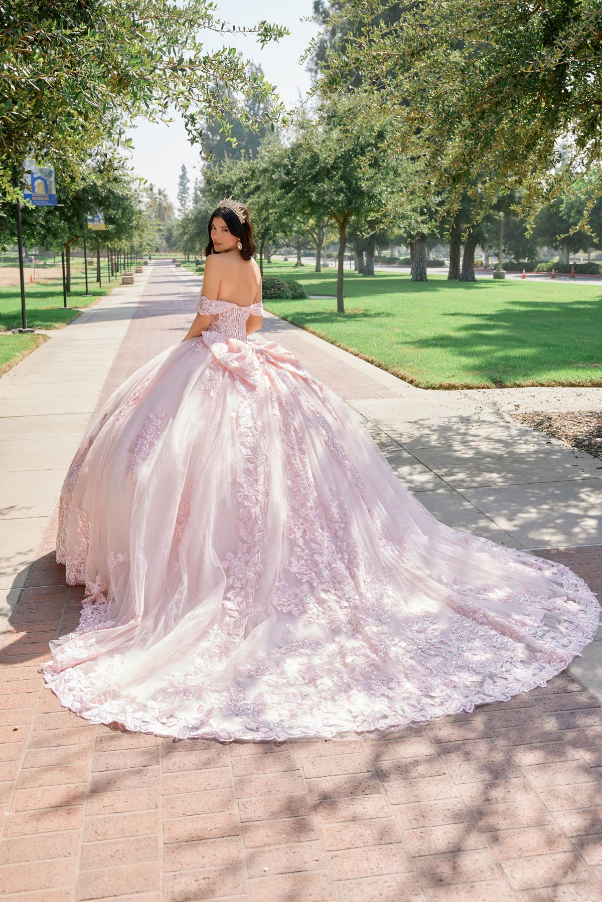 Juliet blush formal dress Style 1458J at Elizabeth's Boutique in Scranton PA, back view