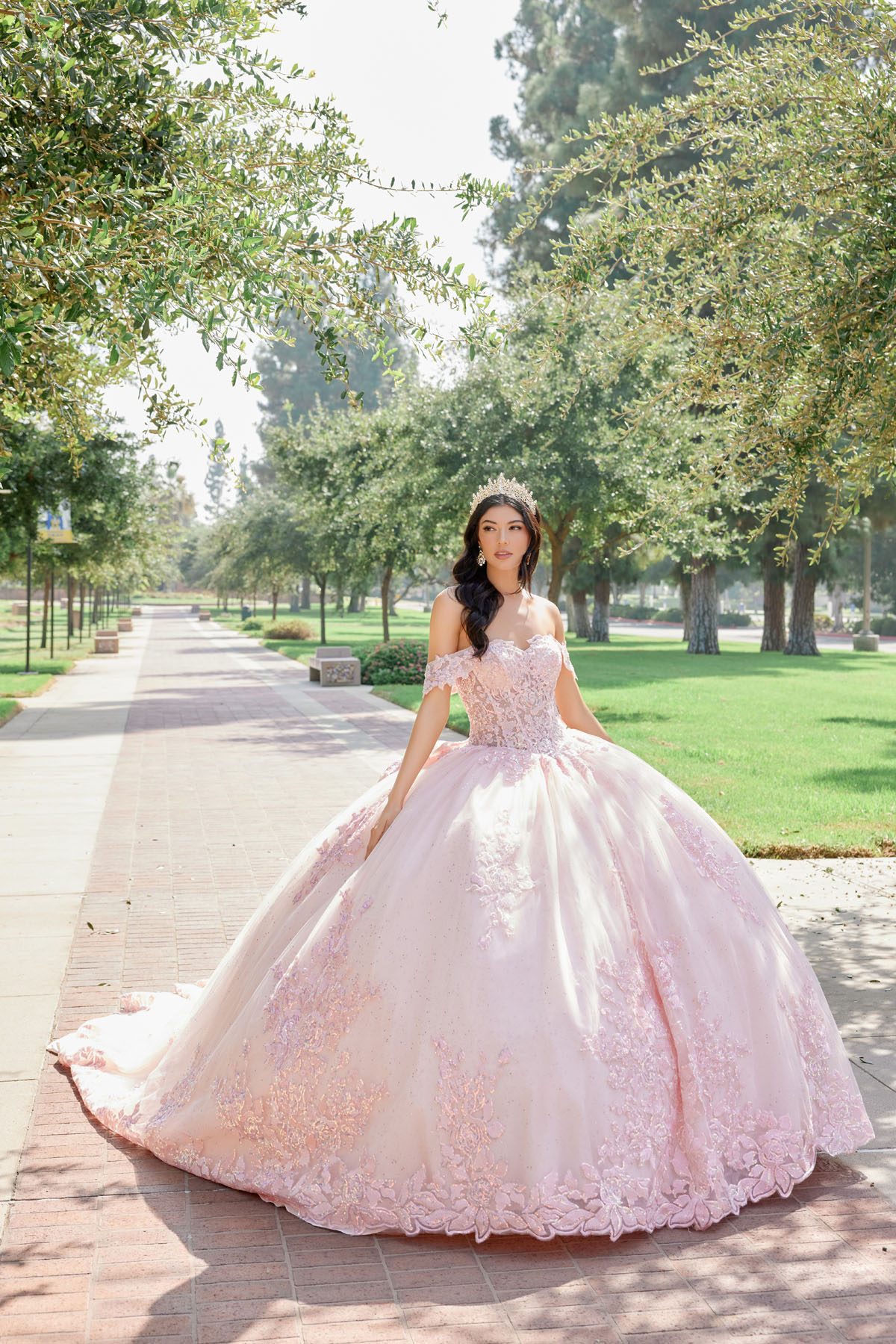 Juliet blush formal dress Style 1458J at Elizabeth's Boutique in Scranton PA, front view