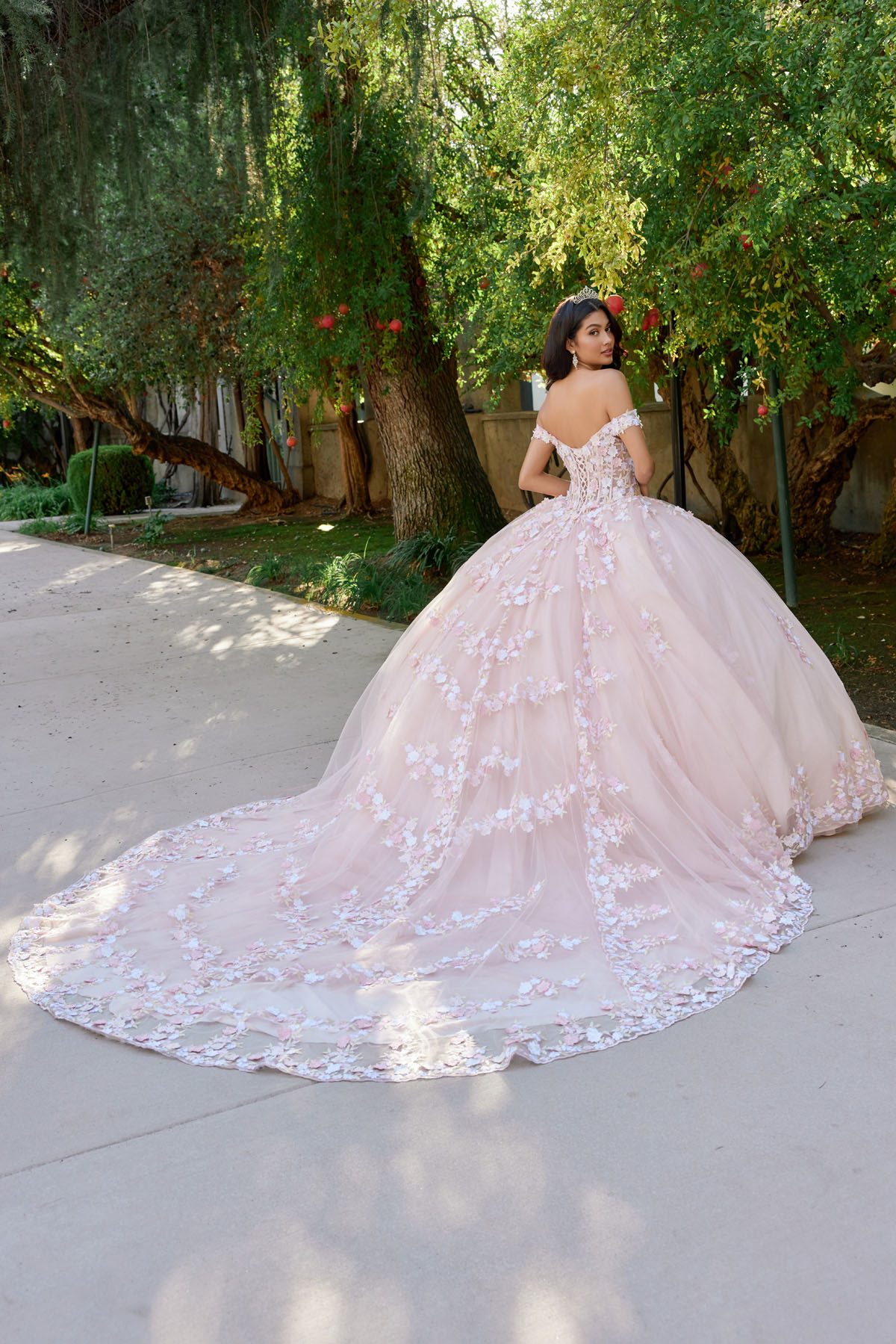 Juliet blush formal dress Style 1460J at Elizabeth's Boutique in Scranton PA, back view