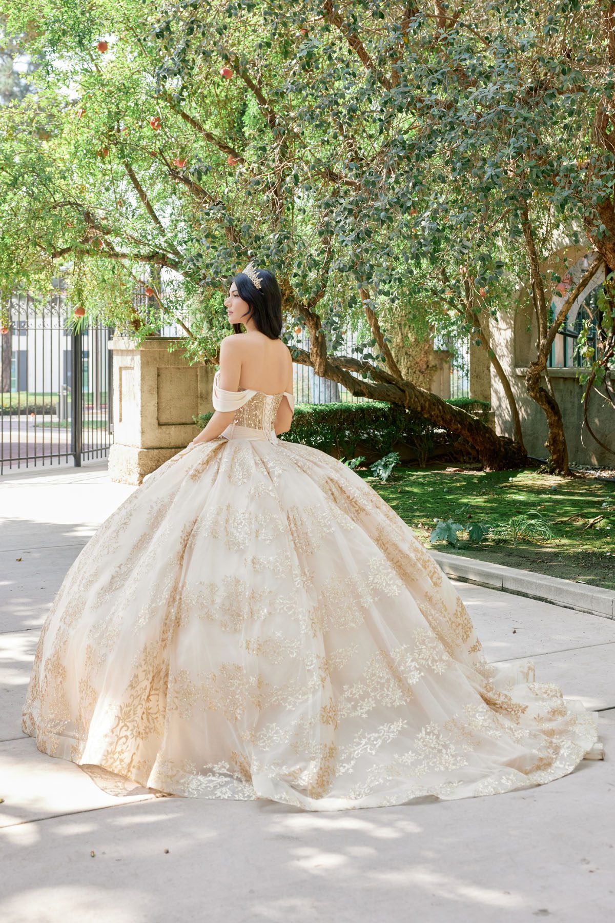 Juliet gold formal dress Style 1488H at Elizabeth's Boutique in Scranton PA, back view