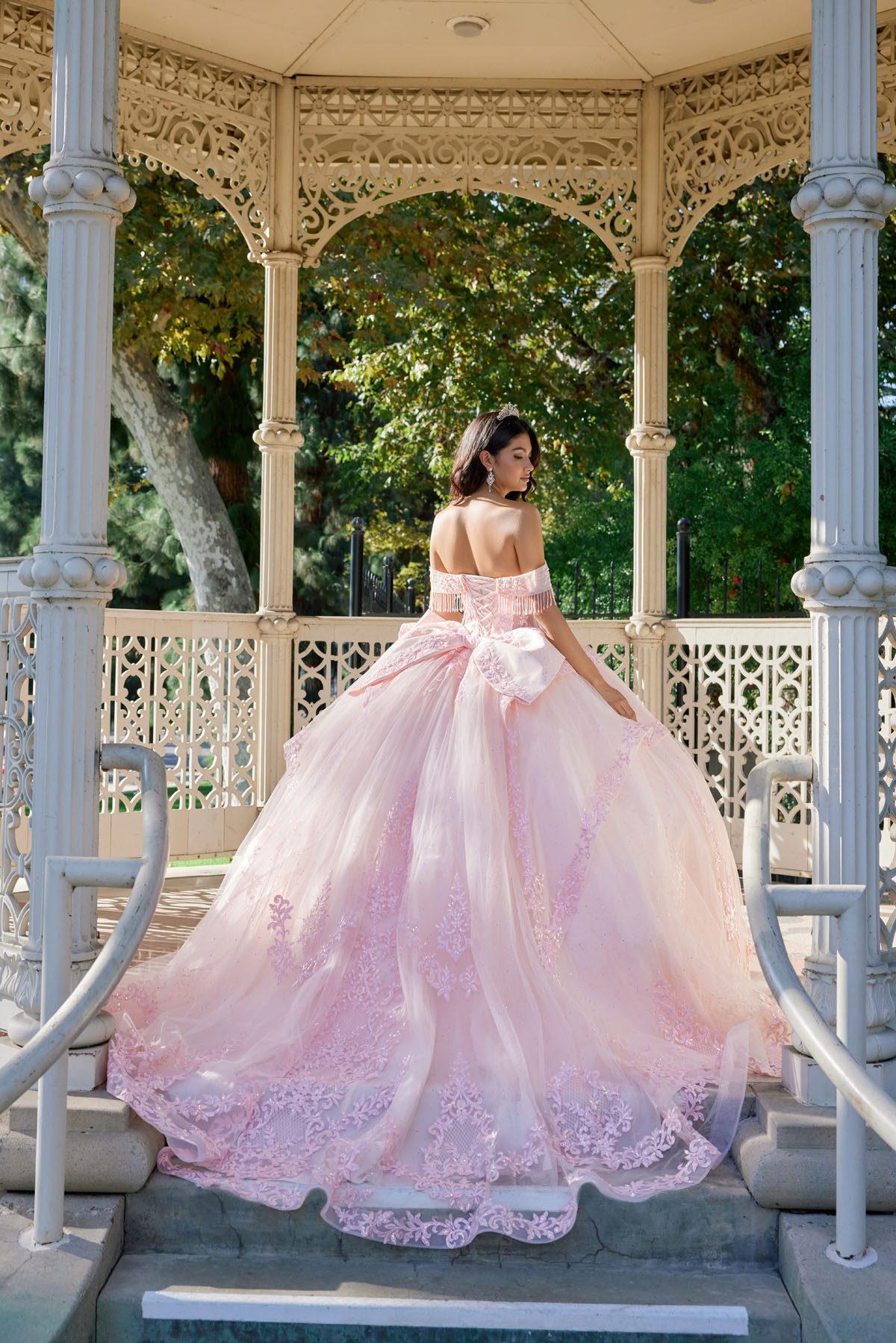 Juliet blush formal dress Style 1503J at Elizabeth's Boutique in Scranton PA, back view