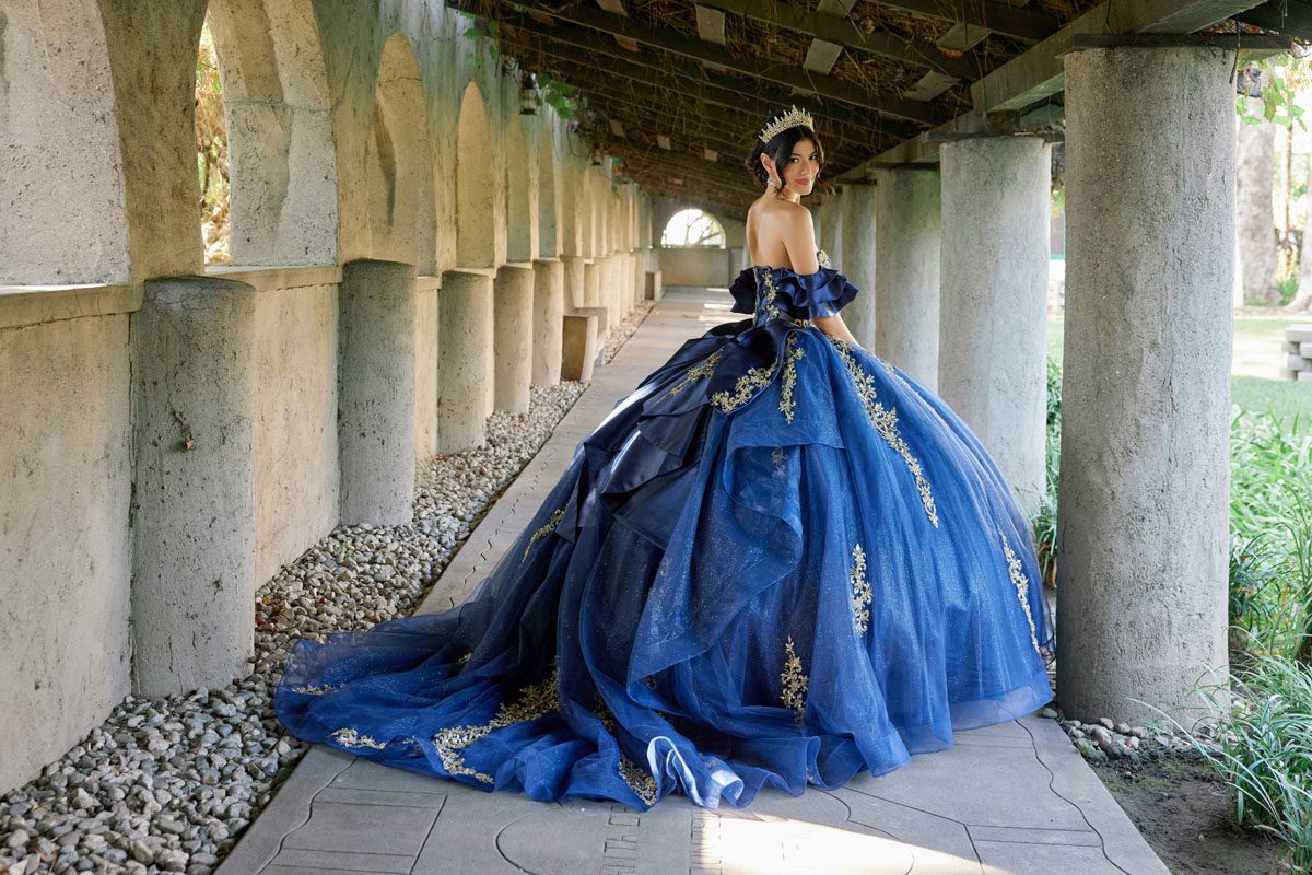 Juliet navy gold formal dress Style 1504J at Elizabeth's Boutique in Scranton PA, back view