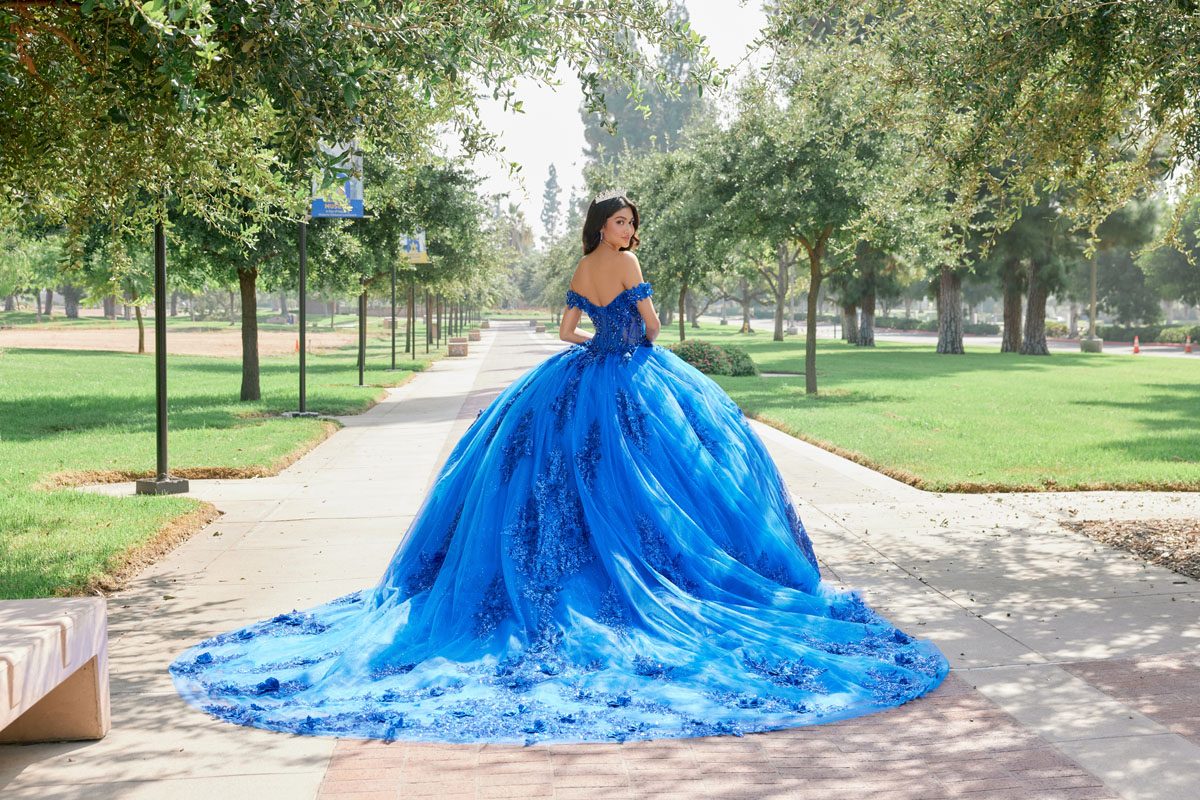 Juliet royal blue formal dress Style 1505J at Elizabeth's Boutique in Scranton PA, back view